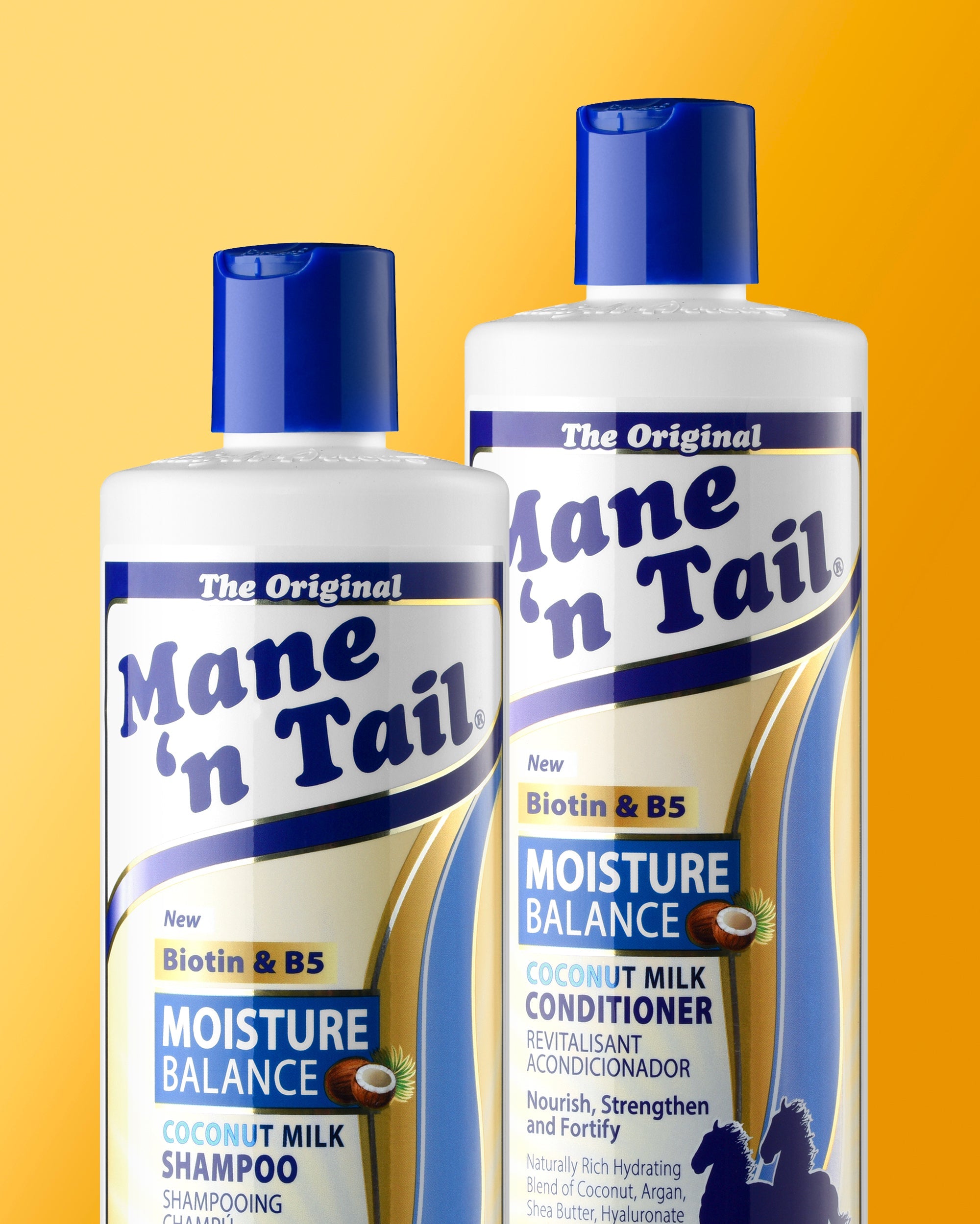 Moisture Balance