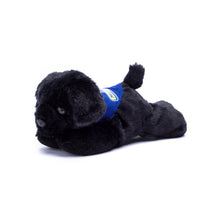Load image into Gallery viewer, Black Lab with Mane &#39;n Tail Blue Bandana
