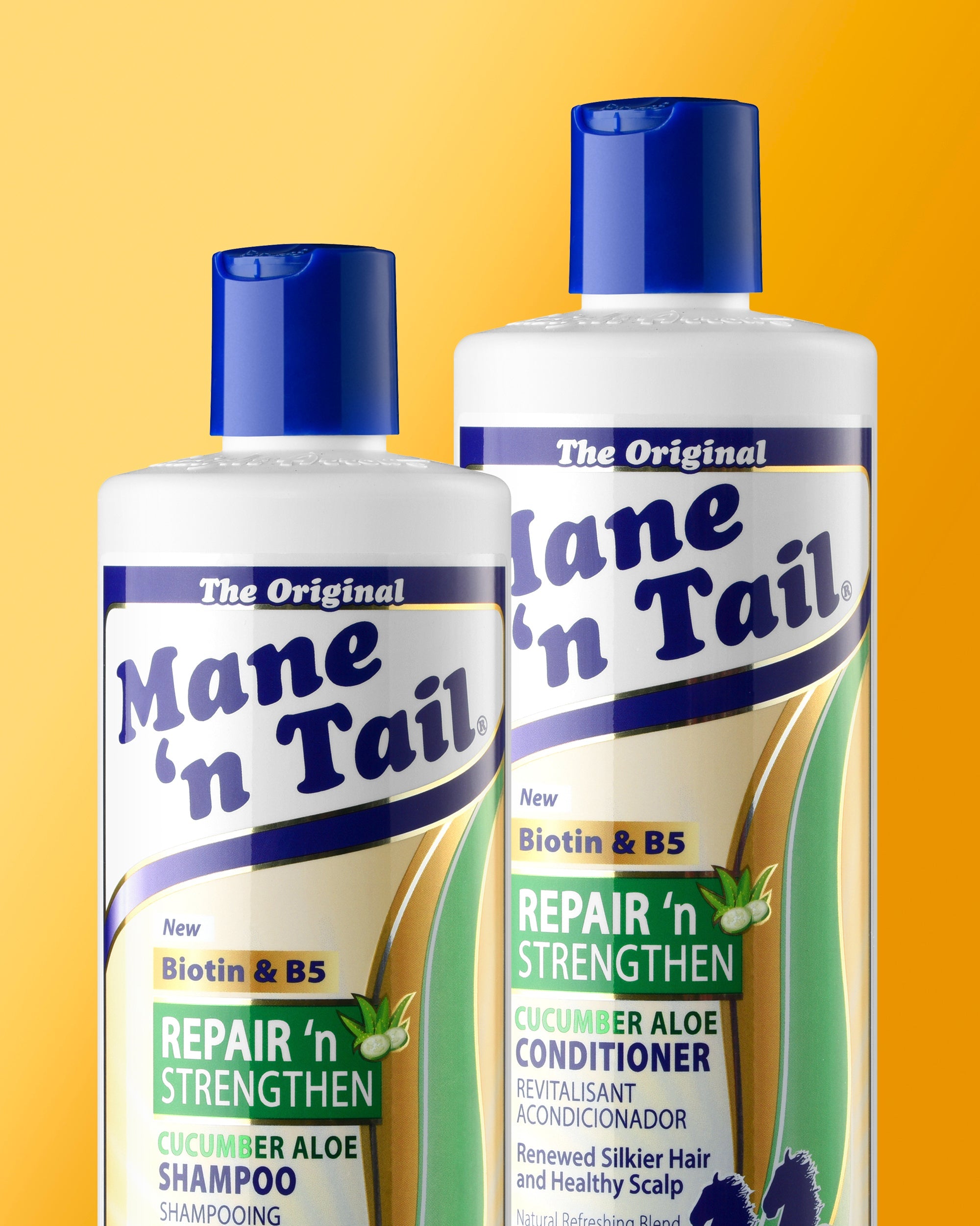 Repair 'n Strengthen