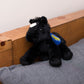 Black Horse with Mane 'n Tail Blue Saddle