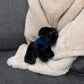 Black Lab with Mane 'n Tail Blue Bandana