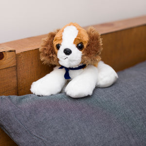 Cavalier King Charles Spaniel with Mane 'n Tail Blue Bandana