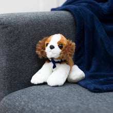 Load image into Gallery viewer, Cavalier King Charles Spaniel with Mane &#39;n Tail Blue Bandana

