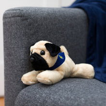Load image into Gallery viewer, Pug with Mane &#39;n Tail Blue Bandana
