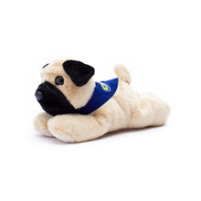 Load image into Gallery viewer, Pug with Mane &#39;n Tail Blue Bandana
