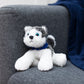 Husky with Mane 'n Tail Blue Bandana