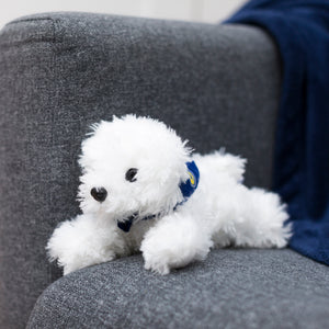White Fluffy Dog with Mane 'n Tail Blue Bandana
