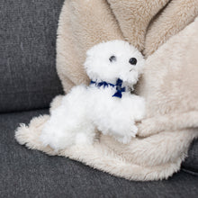 Load image into Gallery viewer, White Fluffy Dog with Mane &#39;n Tail Blue Bandana

