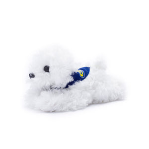 White Fluffy Dog with Mane 'n Tail Blue Bandana