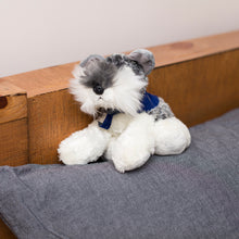 Load image into Gallery viewer, Schnauzer with Mane &#39;N Tail Blue Bandana
