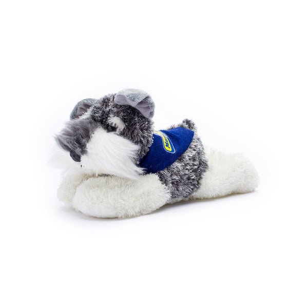 Stein-Schnauzer-royal-blue-